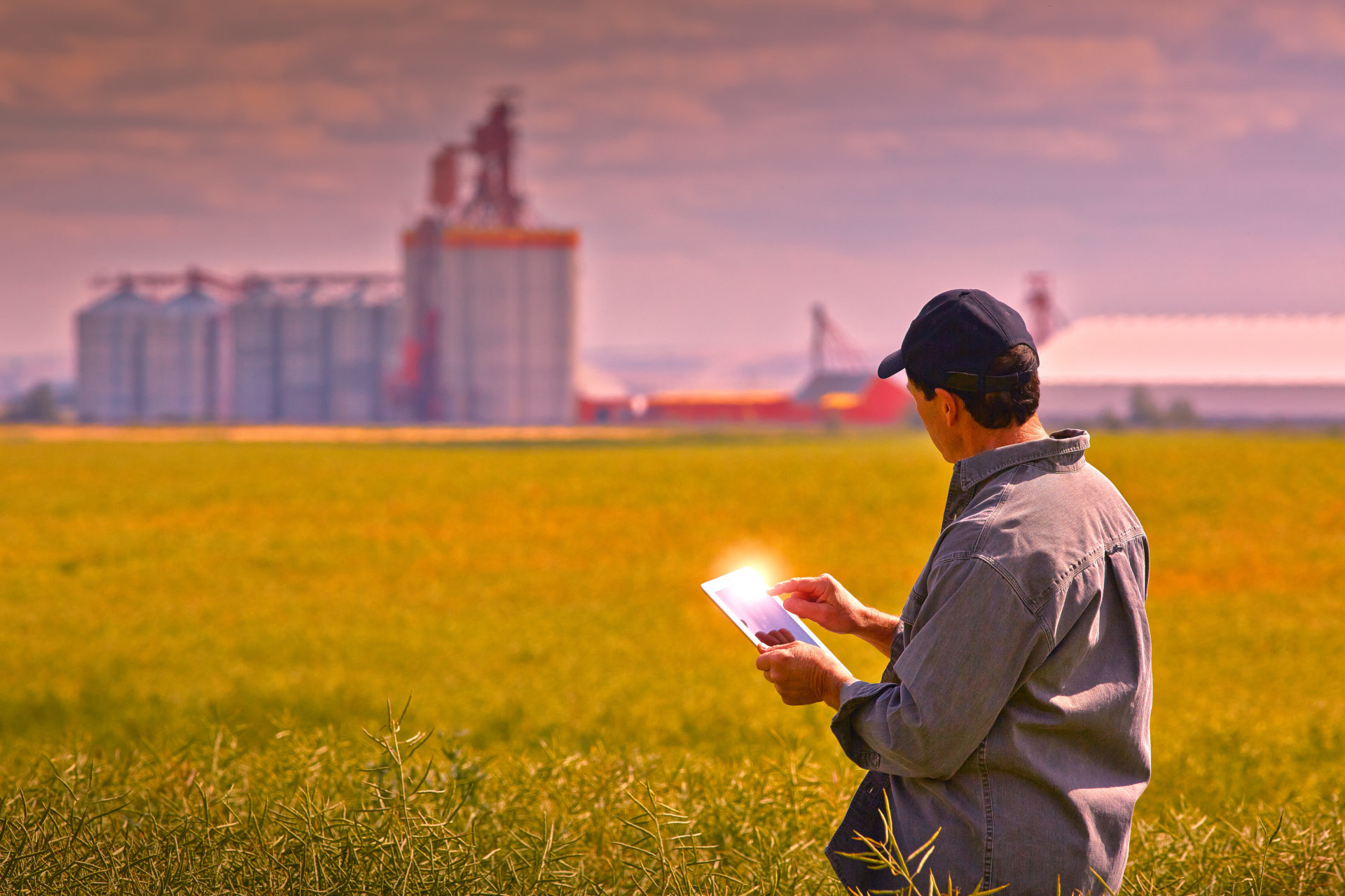 Grain Bag Storage Maintenance Tips